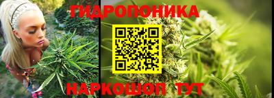 крисы Кимры